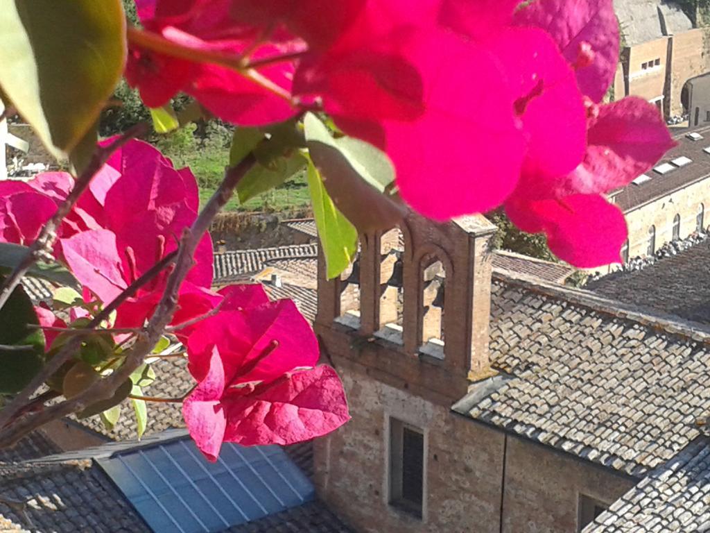 Residenza D'epoca Campo Regio Relais Bed and breakfast Siena